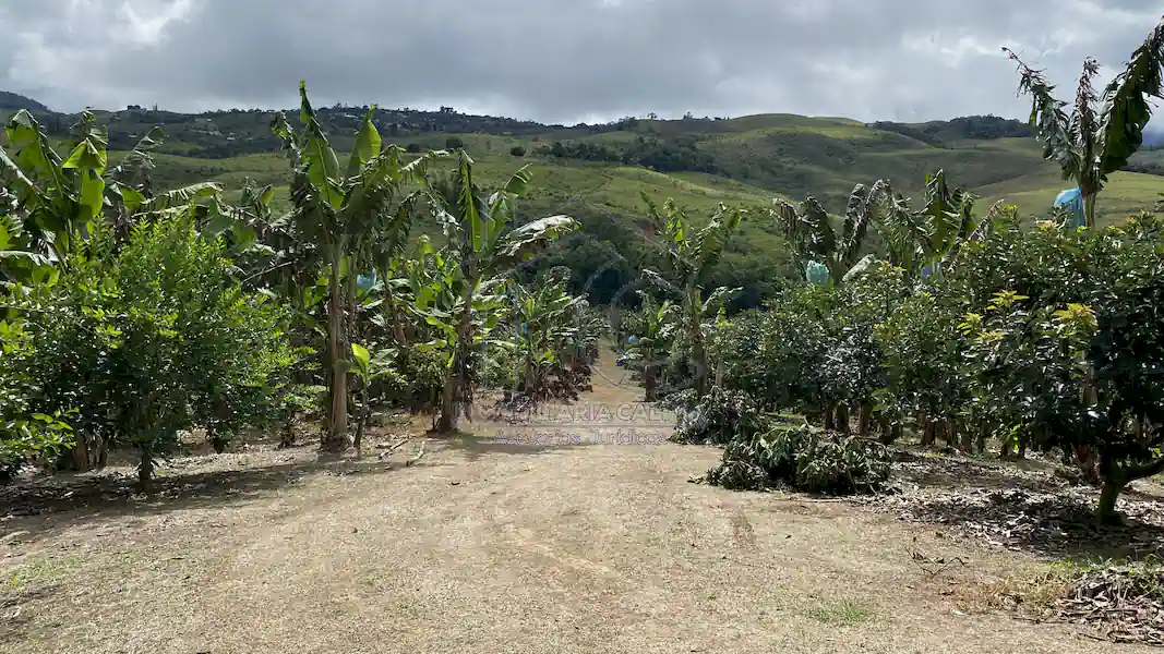 Finca La Esperanza